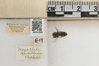 Media type: image;   Entomology 791098 Aspect: Labels